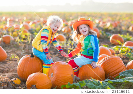 Kids picking pumpkins on Halloween pumpkin patch 25116611