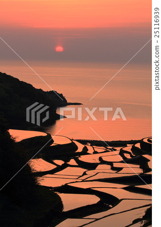 Eli San Mountain Hamanoura的水稻梯田 25116939