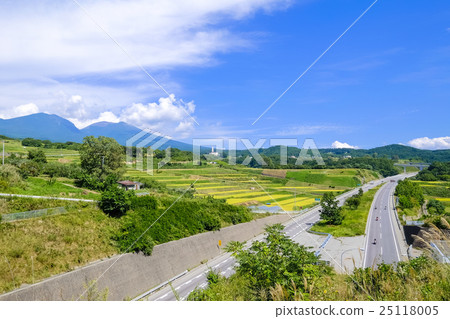 水稻梯田和高速公路 水稻梯田和高速公路 25118005