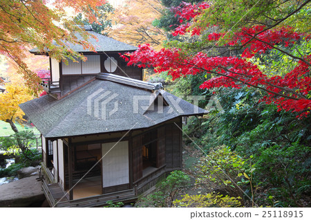 Hakuba Castle wrapped in autumn leaves Hakuba Castle wrapped in autumn leaves 25118915