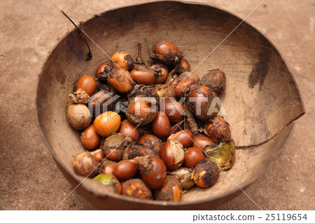 Seeds of shea tree Mubanayili Gana Shea's real Ghana 25119654