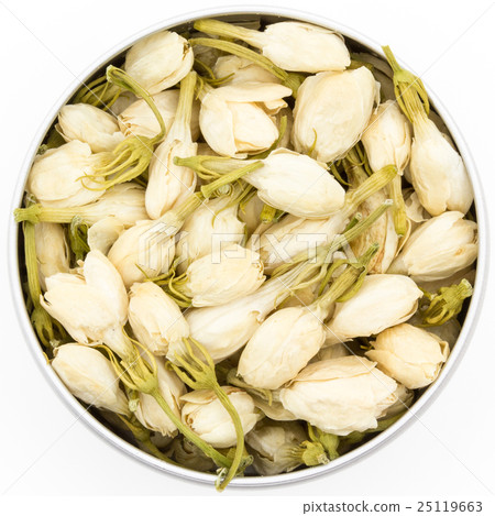 Jasmine Flower: Jasmine Flower Jasmine Flower: Jasmine Flower 25119663