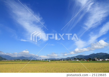 Autumn in the fall of the country Autumn sky at the foot of the North Alps 25119685