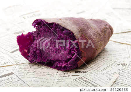 Potato Potato 25120588