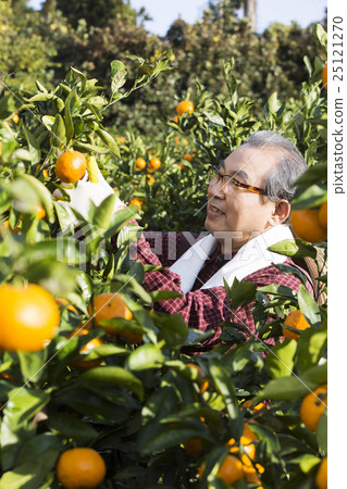 Senior Life style Senior Life style 25121270