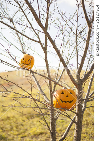 Halloween Halloween 25127914