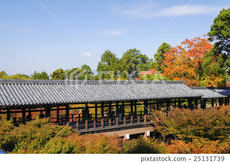 Kyoto  25131739