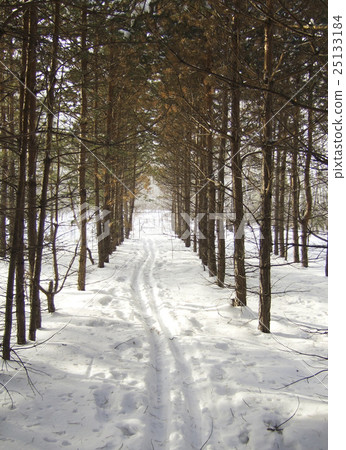 ski track ski track 25133184