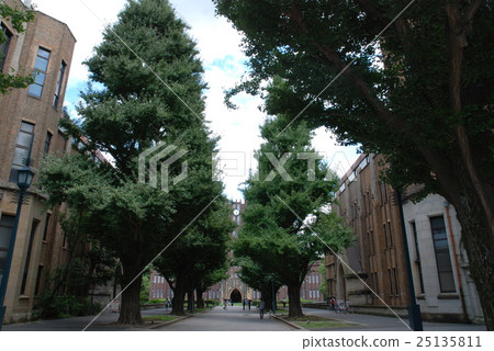 Tokyo University · Uchida Gothic Tokyo University · Uchida Gothic 25135811