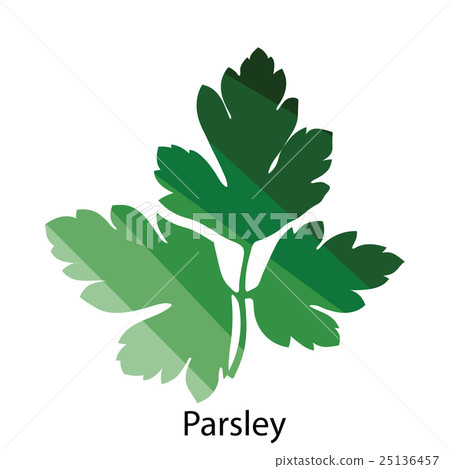 Parsley icon 25136457