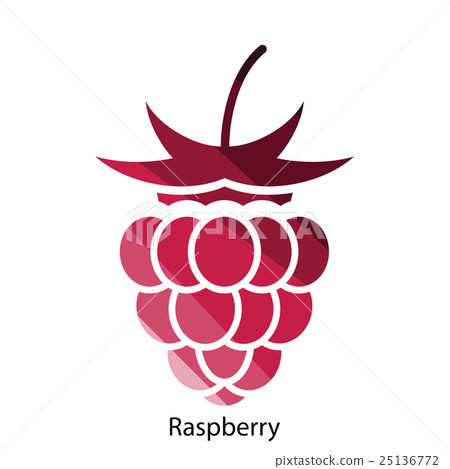 Raspberry icon 25136772