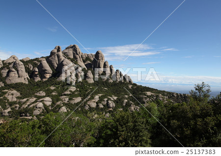 西班牙Moncellat 西班牙Moncellat 25137383