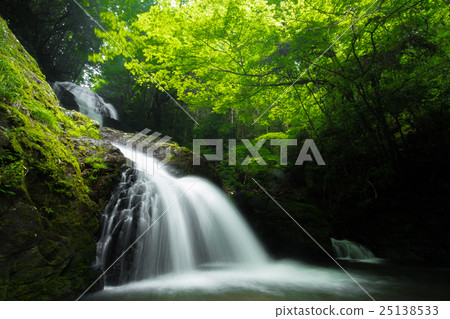 Waterfall and fresh green (Ehime prefecture Kumigaura Town lagoons waterfall) 25138533