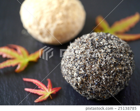 黑芝麻和豆腐渣（側身位置） 25138785