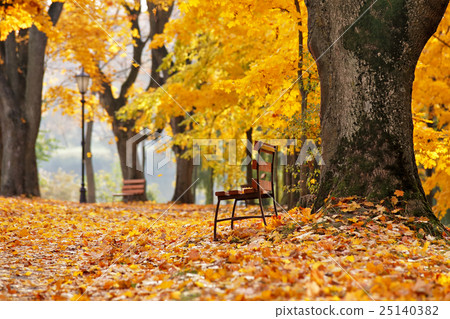 Autumn October colorful park. Foliage trees alley 25140382