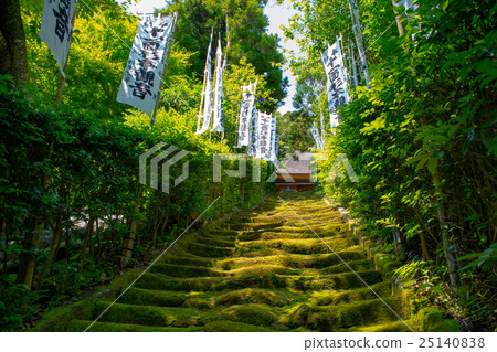 Kamakura Sugimotoji Kamakura Sugimotoji 25140838
