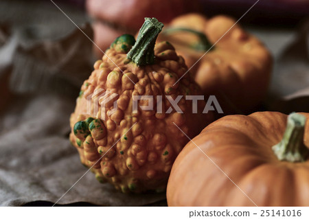 different pumpkins different pumpkins 25141016