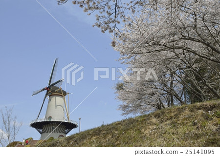 Naganuma Footpia Park · Dutch windmill and cherry blossoms (Miyagi prefecture) Naganuma Footpia Park · Dutch windmill and cherry blossoms (Miyagi prefecture) 25141095
