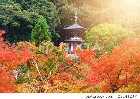 Eikando pagoda with autumn color, Kyoto Eikando pagoda with autumn color, Kyoto 25141237