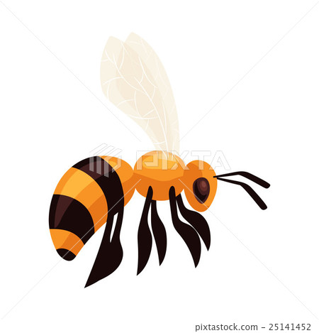 Flying honey bee isolated on white background Flying honey bee isolated on white background 25141452