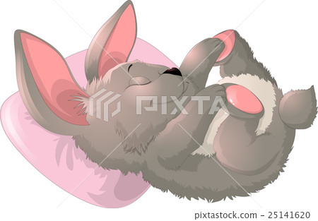 Sleep bunny on a white background 25141620