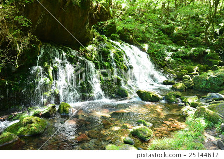 Motoyaki Feng Shui Akita ken 25144612