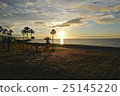 Morning light 25145220