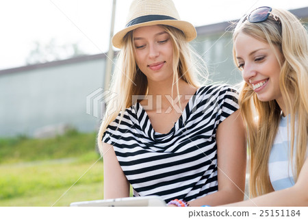 Surfing internet 25151184