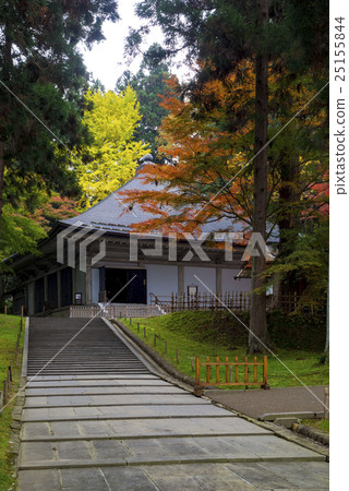 Autumn leaves of Hiraizumi Chusonji, a World Heritage Site Autumn leaves of Hiraizumi Chusonji, a World Heritage Site 25155844