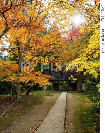 Autumn leaves of Hiraizumi Chusonji, a World Heritage Site Autumn leaves of Hiraizumi Chusonji, a World Heritage Site 25155884