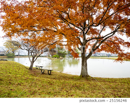 World Heritage Hiraizumi Valley Wang Yuin Leaves Autumn leaves World Heritage Hiraizumi Valley Wang Yuin Leaves Autumn leaves 25156246
