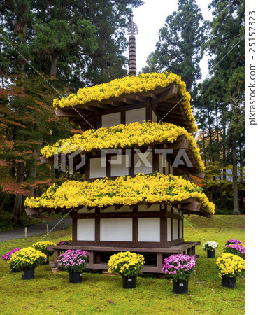 Chusonji Chrysanthemum Festival Kikesenji tower 25157323
