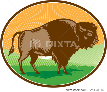 American Bison Oval Woodcut 25158102