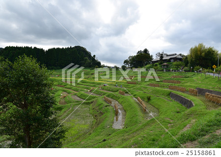 Oyama Senjita Oyama Senjita 25158861