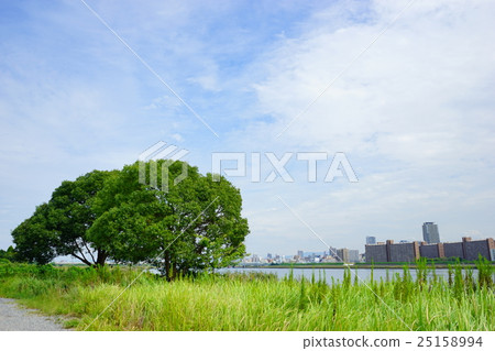 淀川河 淀川河 25158994
