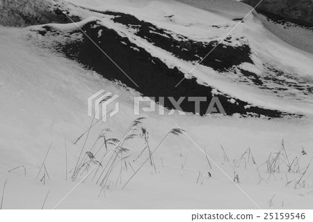 雪和沙子和凋枯的蘆葦與自然風景和背景材料，多雪的風景 25159546