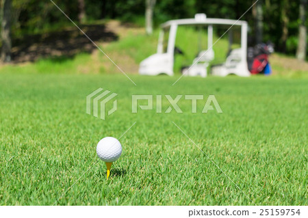 Golf tee shot 25159754