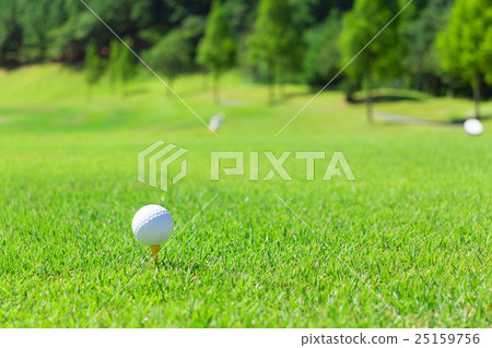 Golf tee shot 25159756