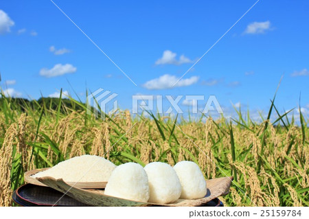 Autumn rice field and bowl of rice balls Autumn rice field and bowl of rice balls 25159784
