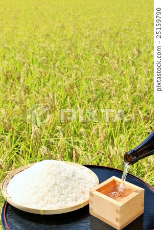 Autumn rice field and brewed rice and sake 25159790