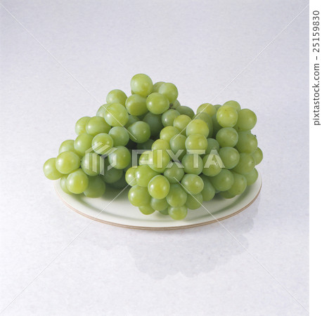 Muscat Muscat 25159830