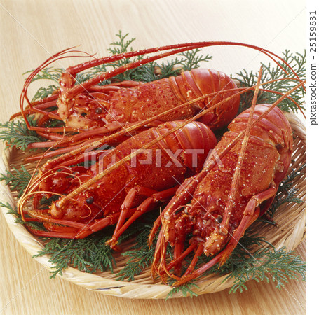 Shrimp Ise 25159831