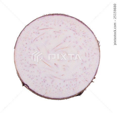 taro roots on white background 25159880