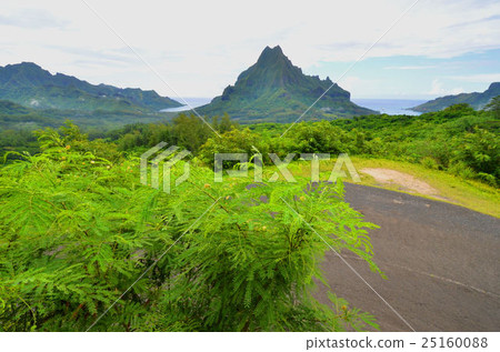 Even Irea Even Irea 25160088