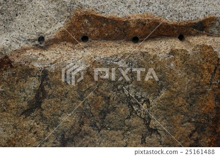 Rough rough skin 25161488