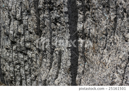 Rough rough skin Rough rough skin 25161501