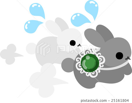 Cute rabbit in a hurry Cute rabbit in a hurry 25161804