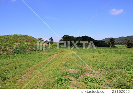 Landscape with an old tumulus 25162063