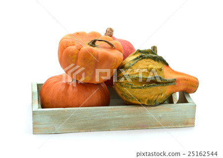 different pumpkins in a tray different pumpkins in a tray 25162544