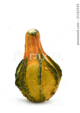 long pumpkin long pumpkin 25162545